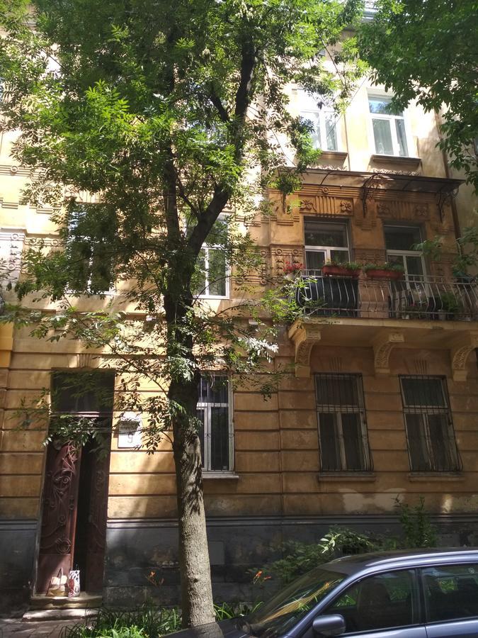 Apartmán Cosy flat Lvov Exteriér fotografie